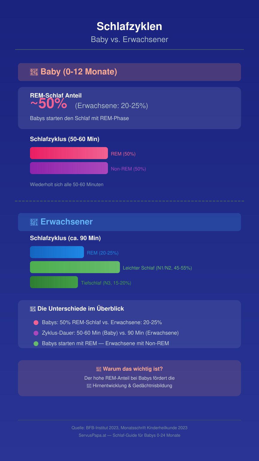 Infografik Schlafzyklen Baby vs Erwachsener - REM-Schlaf Anteile im Vergleich