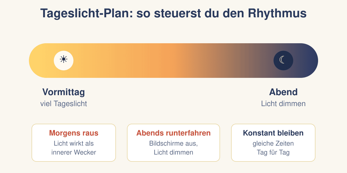 Tageslicht-Plan für den Kinder-Schlafrhythmus: morgens viel Licht, abends Licht dimmen